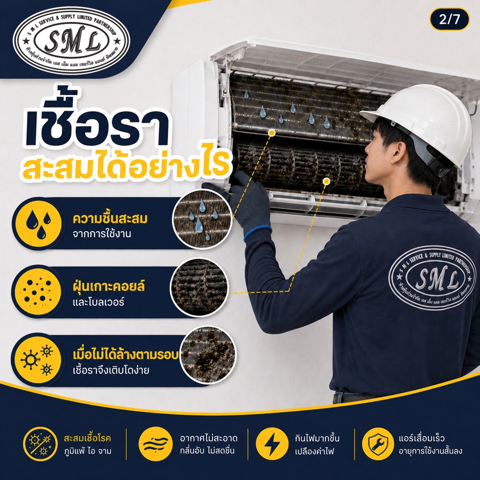 เชื้อราในแอร์ ภาพที่ 2