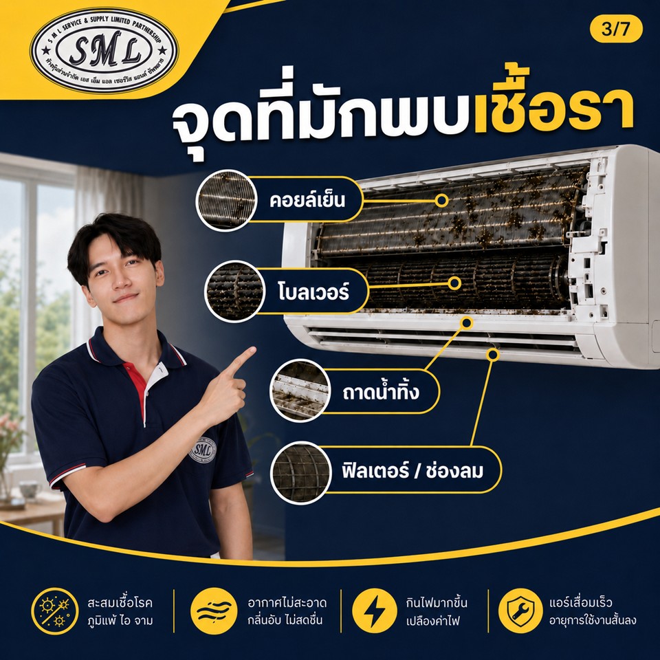เชื้อราในแอร์ ภาพที่ 3
